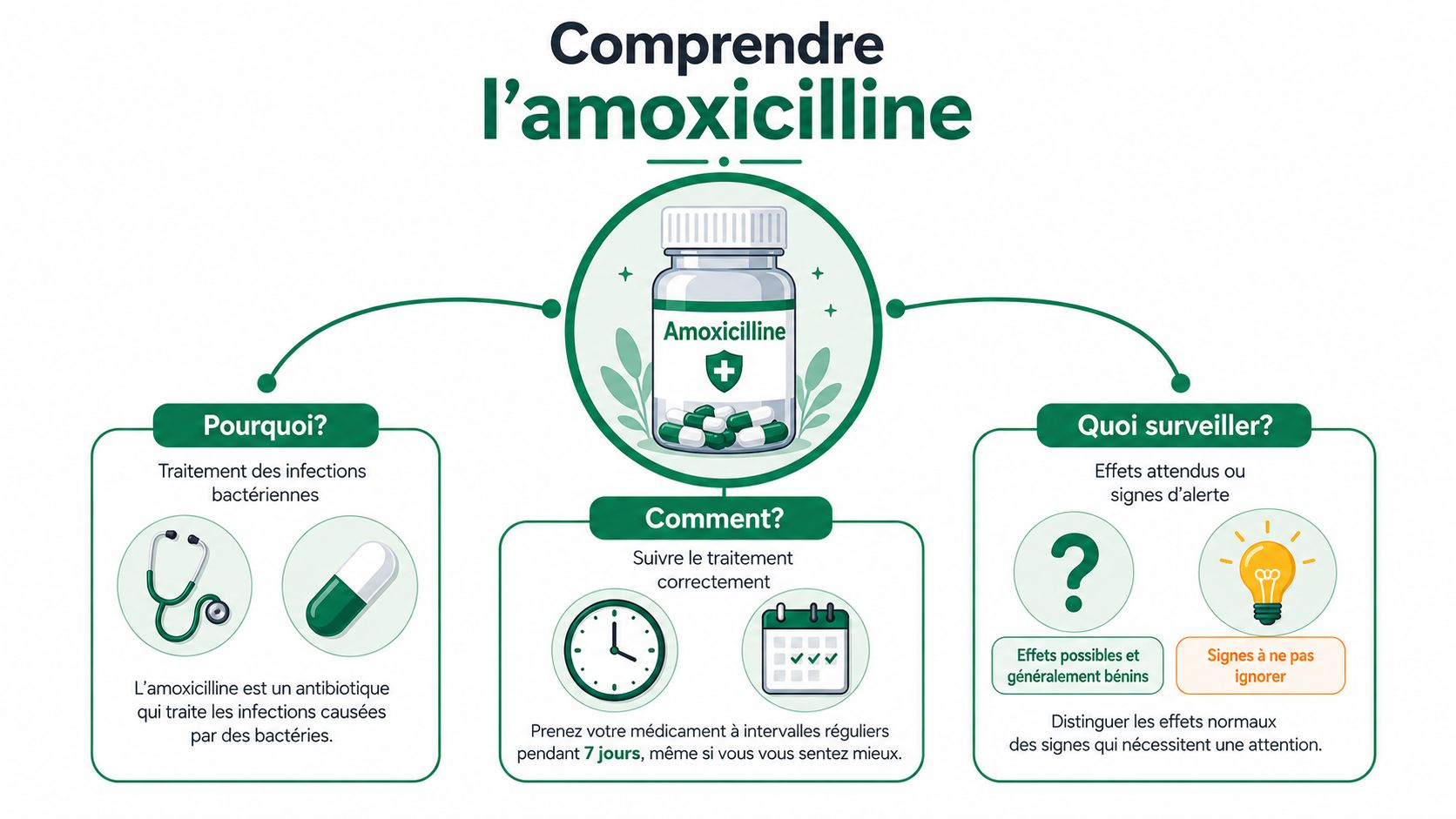 Infographie expliquant l'utilisation de l'amoxicilline, ses objectifs, les conseils de prise et les effets à surveiller.