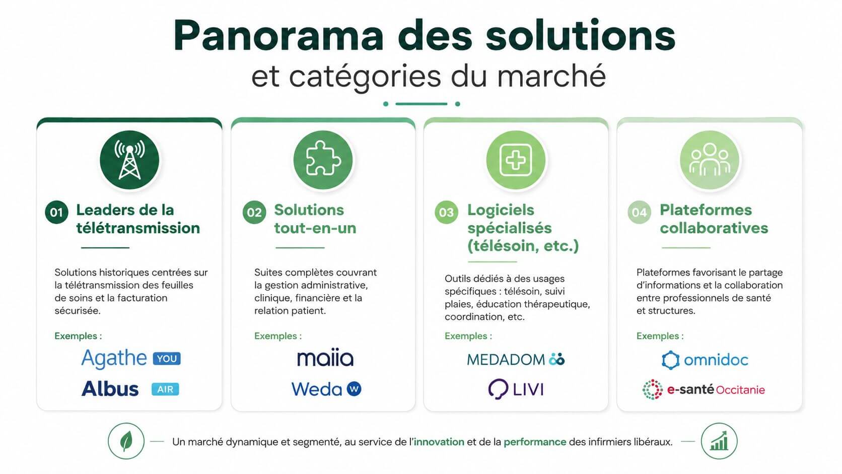 Overview of software solutions and market categories for independent nurses in France.