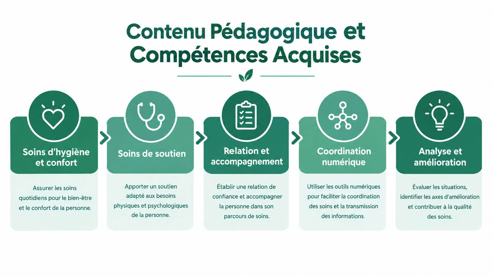 Pedagogical diagram showing the five areas of skills essential for the training of caregivers in the medical sector.